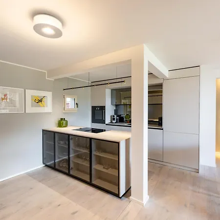 New Penthouse Sankt Moritz * 苏尔勒吉